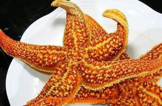 烤海星怎么吃烤海星的正确吃法