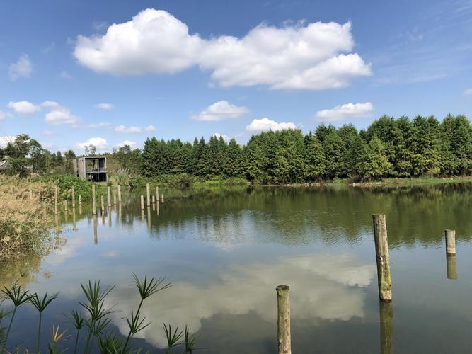 2019青龙湖_旅游攻略_门票_地址_游记点评,成都旅游