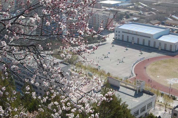 春_甘肃中医药大学定西校区