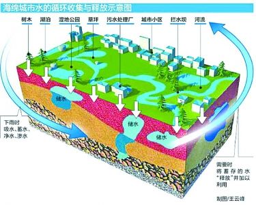 王召森:鹤壁市海绵城市建设试点探索与思考