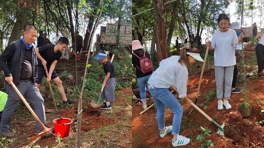 企业动态 党建园地 绿化公司的工作人员早早做好了前期准备,树苗,植树