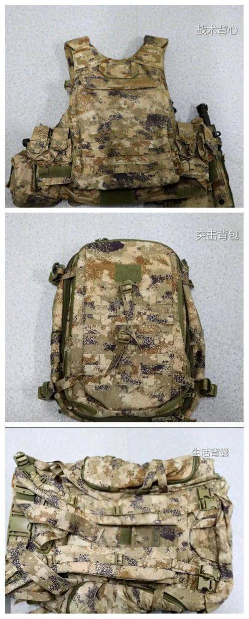 解放军东南劲旅配发新式单兵装具何时配上星空迷彩就更完美