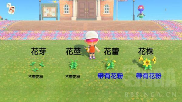 动物森友会花卉杂交技巧教学花卉怎么杂交