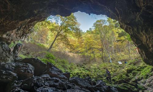 镜泊湖地下森林之秋---2020-9-28