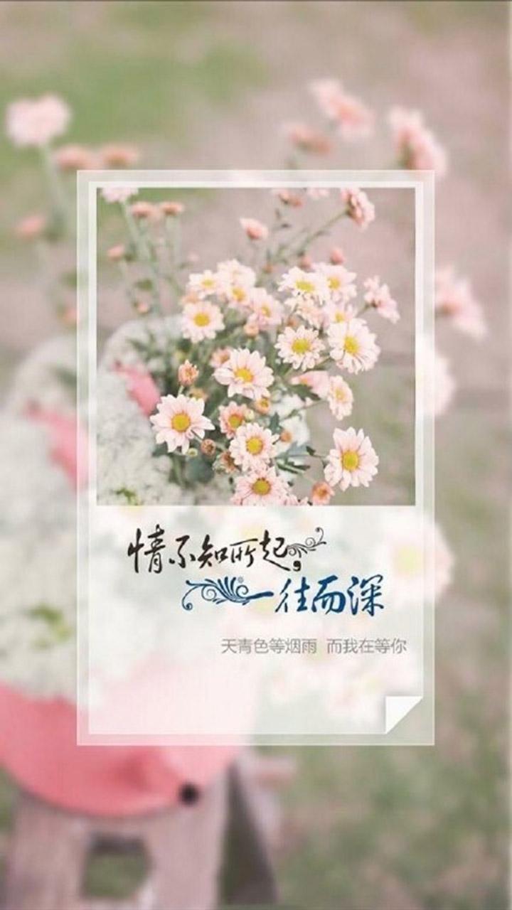 唯美意境爱情文字创意高清手机壁纸