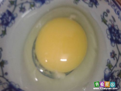 同学们,帮我看看这鸡蛋是否是受精蛋