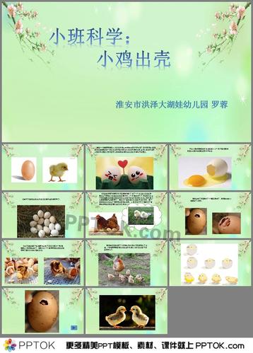 ppt课件下载,主要包含了理解故事,帮助幼儿积累有关母鸡生蛋,孵蛋和