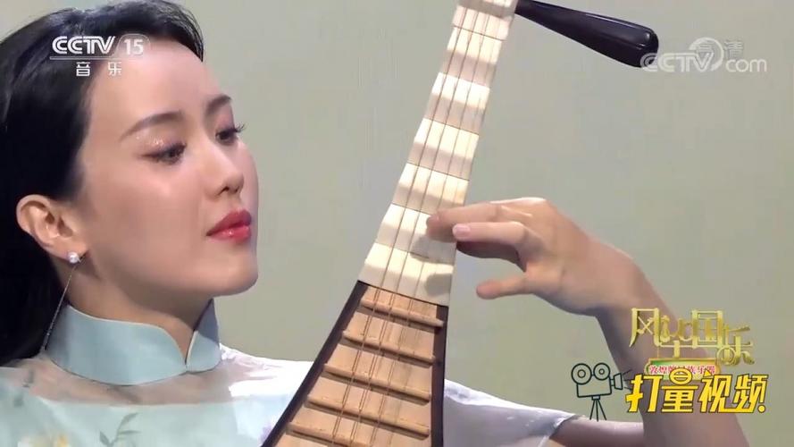 乔鹤琵琶独奏《芙蓉雨》,浓浓中国风,很有韵味|风华国乐