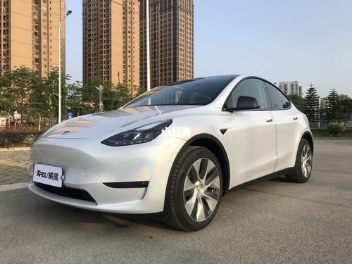 特斯拉毛豆y交车作业_特斯拉怎么样_汽车_汽车介绍