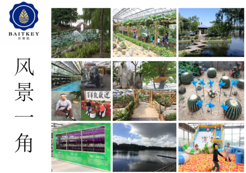 上海嘉定安亭生态园