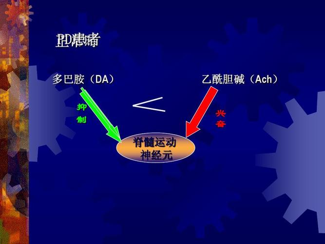 pd患者 正常时 多巴胺(da) 抑 制 脊髓运动 神经元 乙酰胆碱(ach) 兴