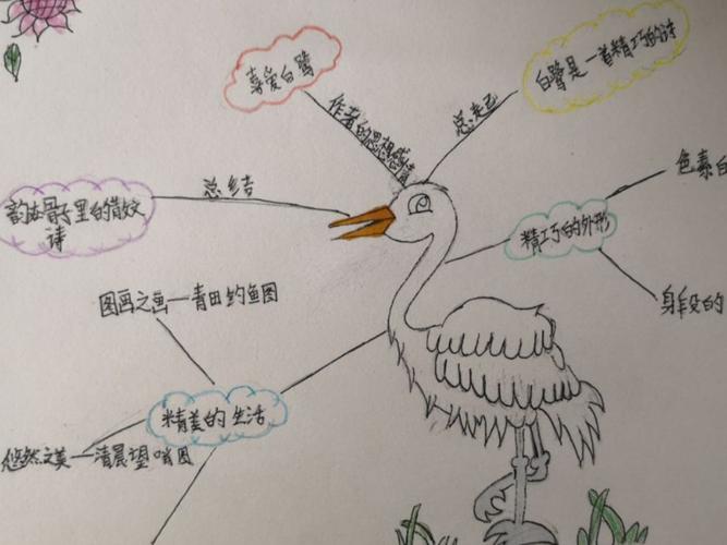 白鹭是一首精巧的诗——思维导图小试牛刀