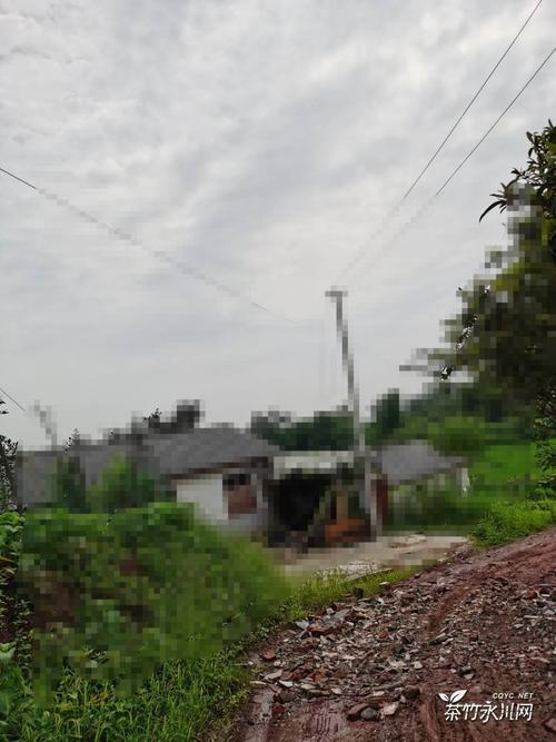 永川到处都在修路,唯独茶店的路没修