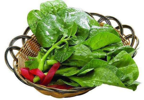 夏季吃什么蔬菜有利于解暑气?生津止渴,清热泻火,排出