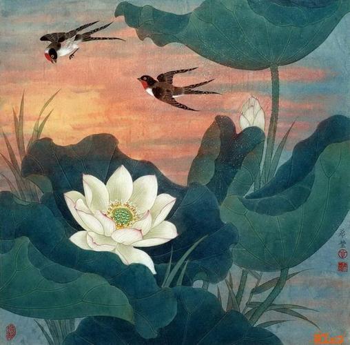 荷花工笔画