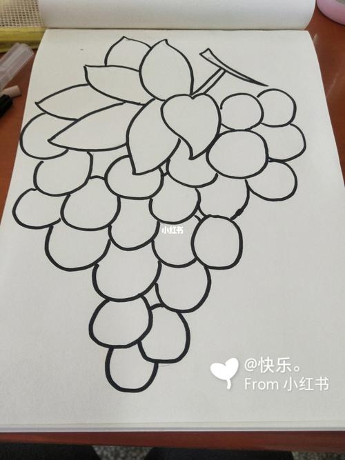 每日一画第一百幅黑白线描画《葡萄》_线描_黑白线描