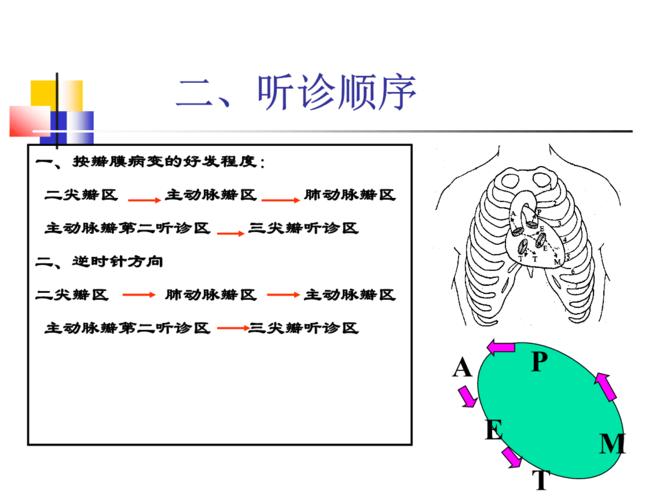 7贾老师 心脏听诊幻灯片.ppt 93页