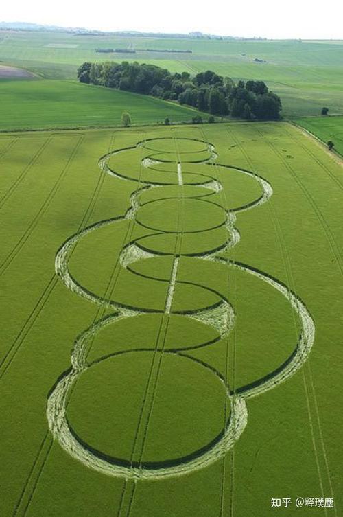 麦田怪圈是否是宇宙生物在传递某种讯息!