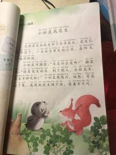 小松鼠找花生