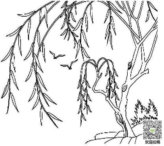 柳树简笔画图片_柳树儿童绘画作品图集(6)