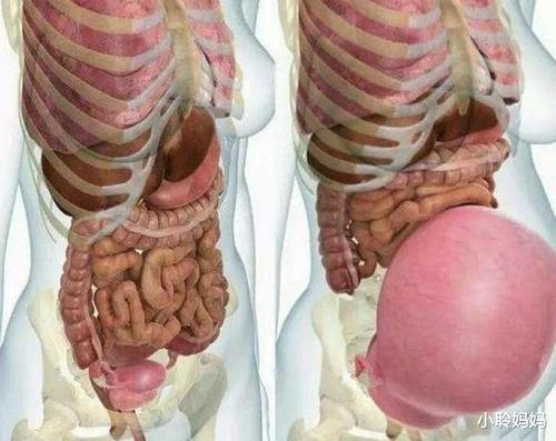 一张图让你了解母亲的不易 这张图片就像大家证明了,当怀孕之后,肚子