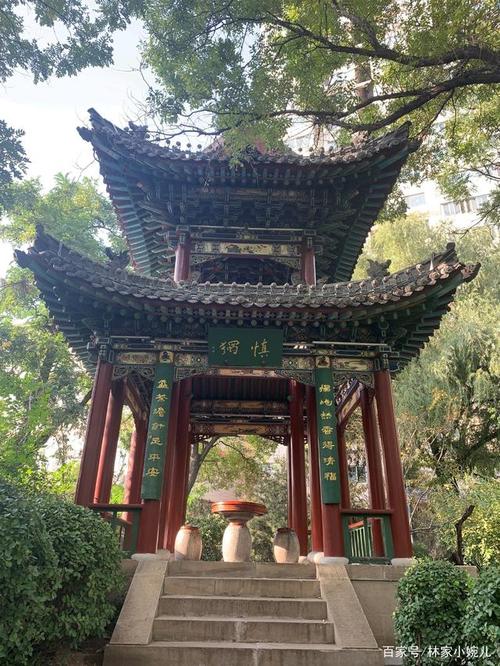 迎泽公园初秋的韵味