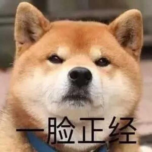 不是在开玩笑,请看我认真脸