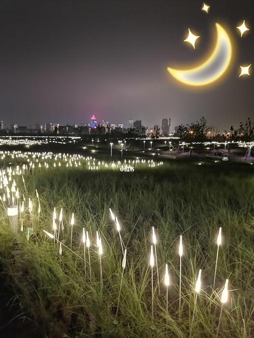 美丽南通 滨江公园夜景_夜景_南通滨江公园_放风筝_出行_人文风光展示