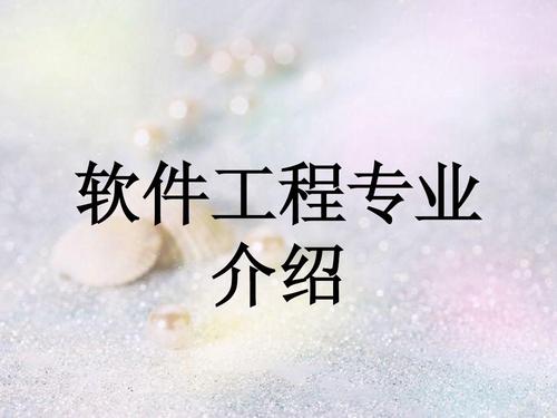软件工程专业-2010专业