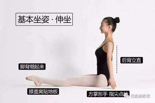 准备位:基本坐姿,勾绷脚