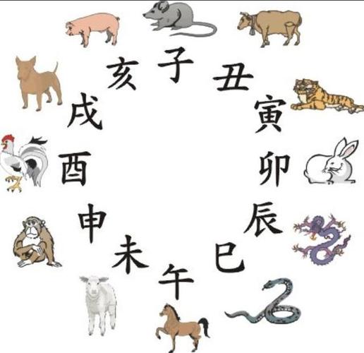 地支三合局:申子辰合化水局,亥卯未合化木局,寅午戌合化火局,巳酉丑合