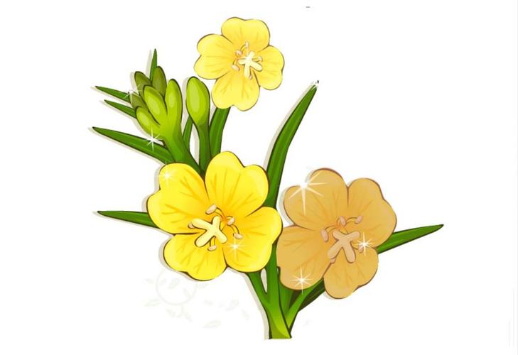 下面我们就来看看详细ai画夜来香的教程.