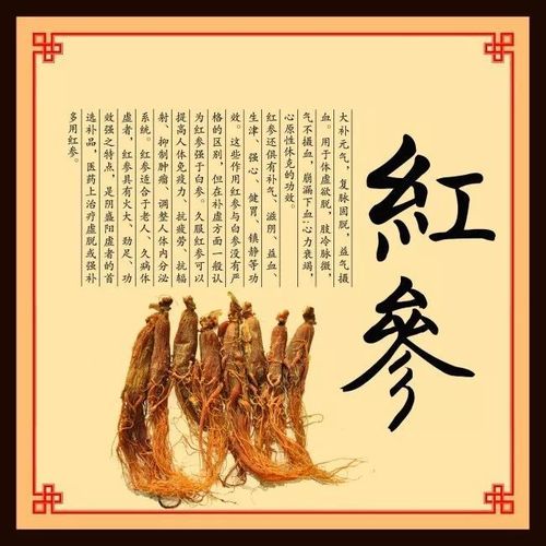 红参的功效及适宜人群
