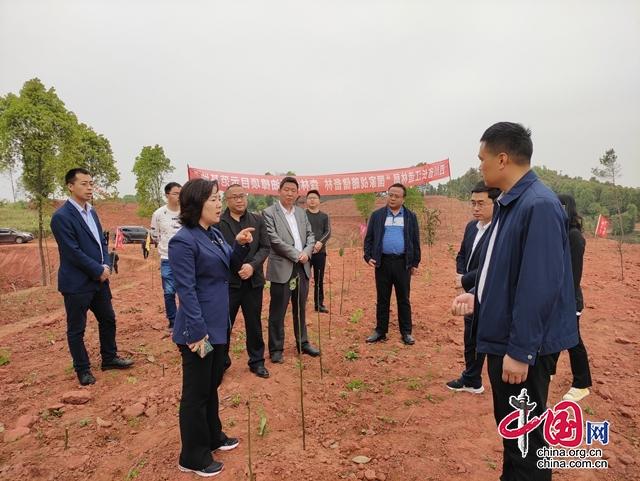 叙州区委副书记赵丹调研油樟三产融合发展