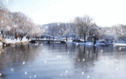 下雪了