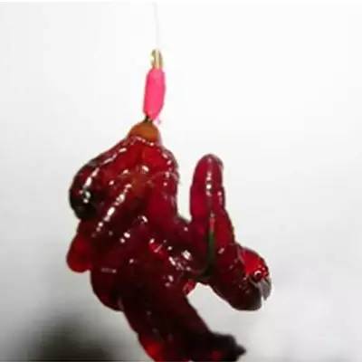 【原创】各种虫饵的挂钩方法