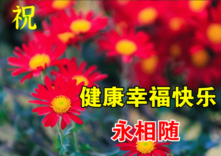 下午好动态表情图片大全问候语句子