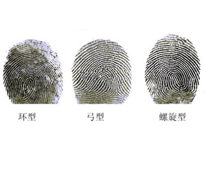 总的来说,指纹的图案可以分为三个类型:弓型,环型和螺旋型.