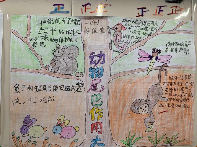 一(4)班 《动物尾巴作用大》手抄报集