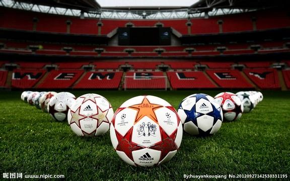足球是什么样子的图片?