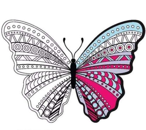 线描画——《蝴蝶》安丰乡市热电希望小学美术社团