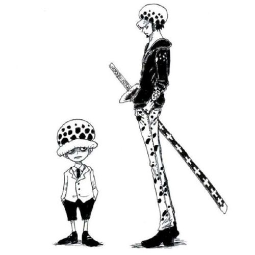 壁纸 动漫 海贼王 onepiece 特拉法尔加·罗 小时候与现在