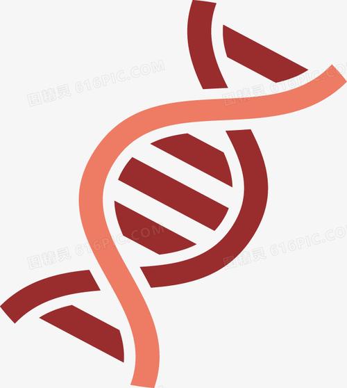 首页双线双皮奶现代几何简约dna双螺旋矢量图pngpngdna双螺旋矢量图标