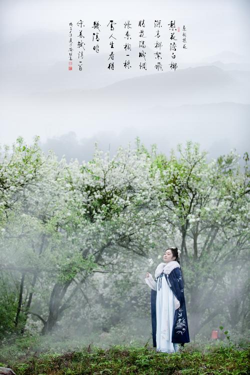 桂影传媒-东栏梨花-南宁企业宣传片,微课录制,影视,片