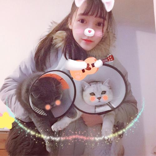 猫咪77&小7的小故事