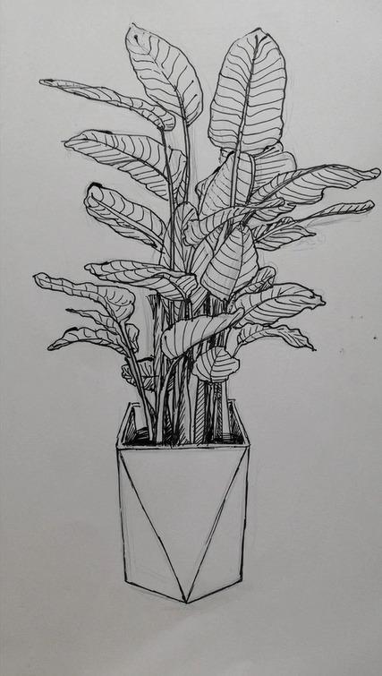 今晚主题:抗击疫情,拥抱春天"" 第一课写实线描写生(供中高年级