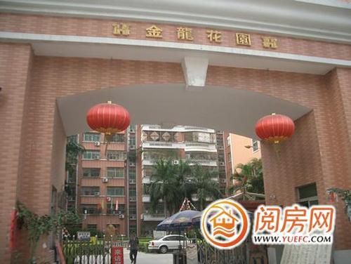 闹市中 选择朴实的慢步调生活——金龙花园看房日记