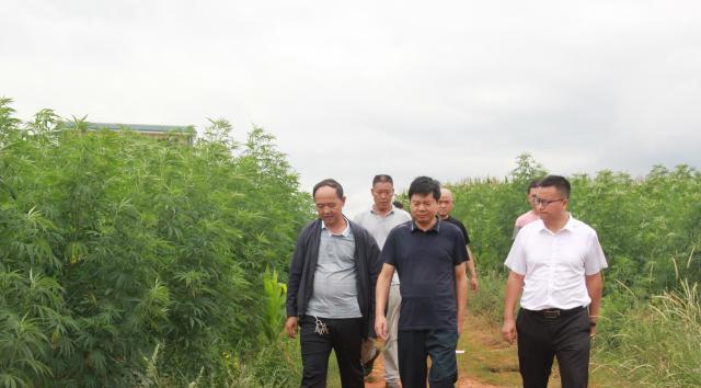 沾益区领导到白水镇调研指导工作