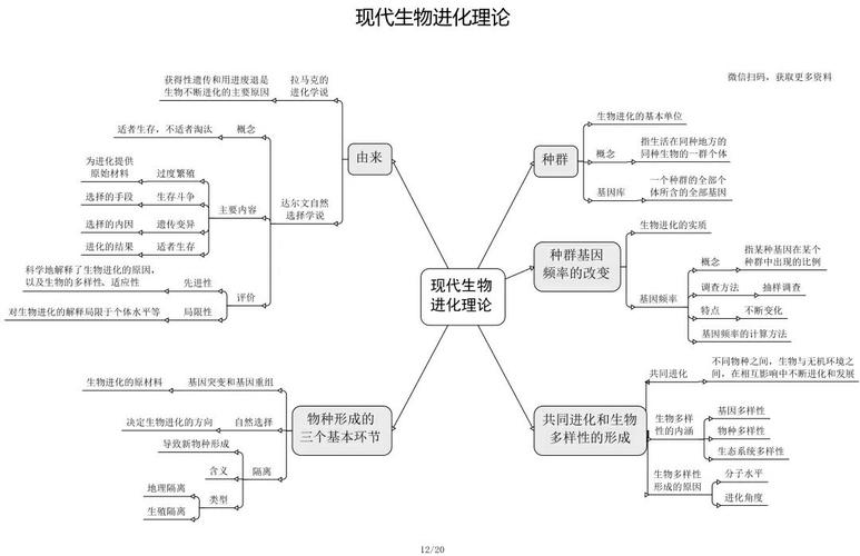 高中生物知识框架图