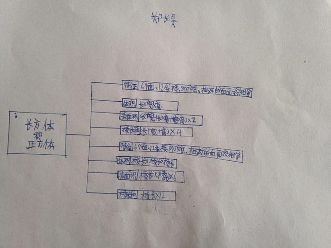 amao的美篇《长方体和正方体》思维导图